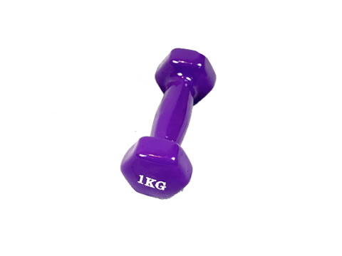 Vinyl Dipped Dumbbell 1kg